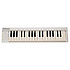 eKeys 37 AVID