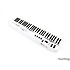 PRO KEY 61 C Prodipe