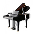V-PIANO GRAND Roland