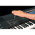 RK-300 Roland