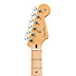 Road Worn Player Stratocaster HSS Inca Silver Fender