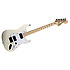 Jim Root Stratocaster Flat White Fender