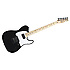 Jim Root Telecaster Flat Black Fender