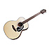 G220 NS Takamine