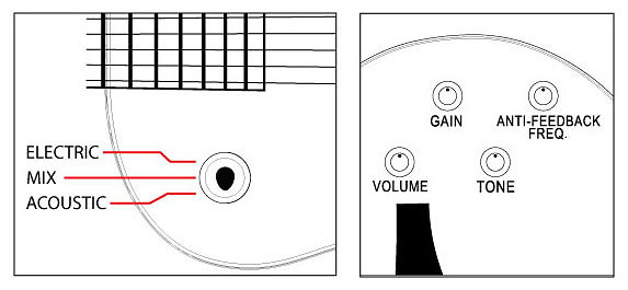 Ibanez MSC380QMVV
