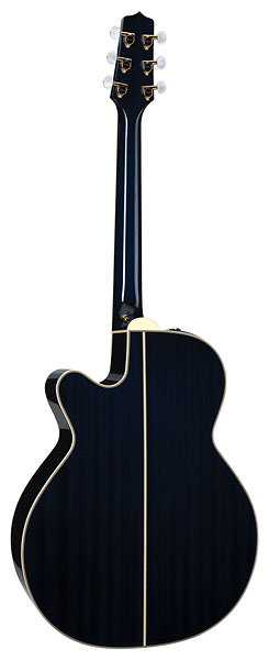 Takamine LTD 2011