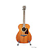 AC240 OPN Ibanez