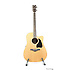 AW370ECENT Ibanez