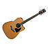 AW370ECENT Ibanez