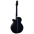 LTD 2011 Takamine