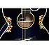 LTD 2011 Takamine