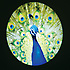 LED Gobo Projector Showtec