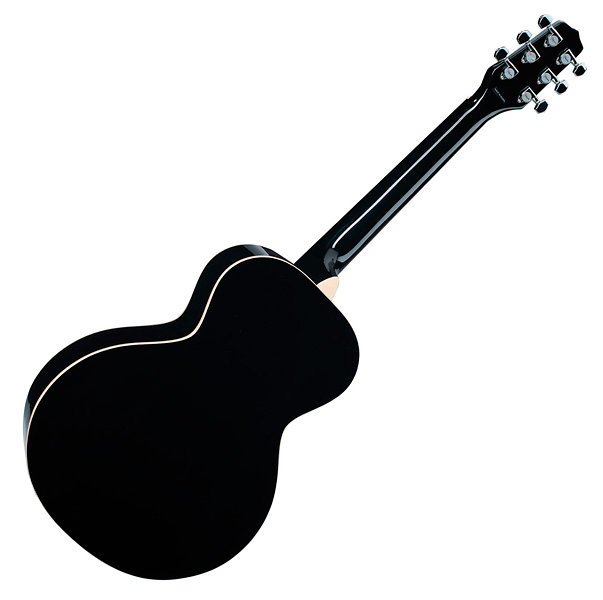 Takamine EG451DLX