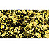 Confetti Metal Gold 1 kg Rectangle Showtec