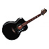 EG451DLX Takamine