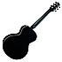 EG451DLX Takamine