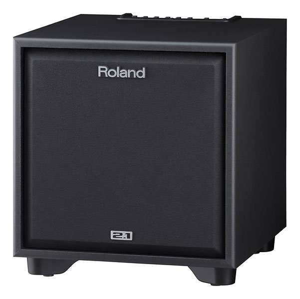 Roland CM110 Cube Monitor