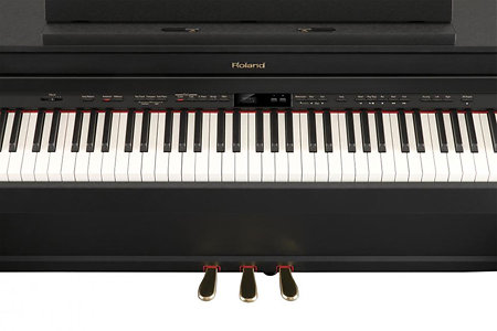 Roland HP505PE