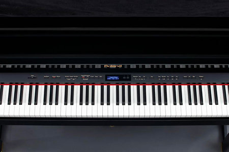 LX15PE Roland