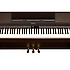 HP503RW Roland