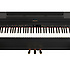 HP505PE Roland