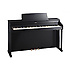 HP505SB Roland