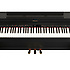 HP505SB Roland