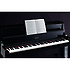 LX15PE Roland
