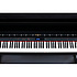 LX15PE Roland