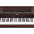 RP301R-RW Roland