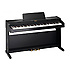 RP301R-SB Roland