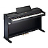 RP301R-SB Roland