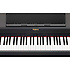 RP301R-SB Roland