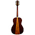 G406S-VS Takamine
