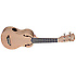USX ZEB S Stagg
