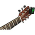 CT10 2.0 Planet Waves