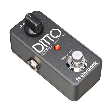 TC Electronic DITTO LOOPER