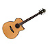 AEG15II-LG Ibanez