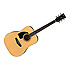 PF15L-NT Ibanez