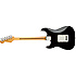 Standard Stratocaster Maple Black Fender