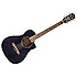 T-Bucket 200 CE Fender