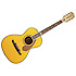 Ron Emory Loyalty Parlor Fender