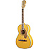 Ron Emory Loyalty Parlor Fender