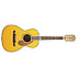 Ron Emory Loyalty Parlor Fender