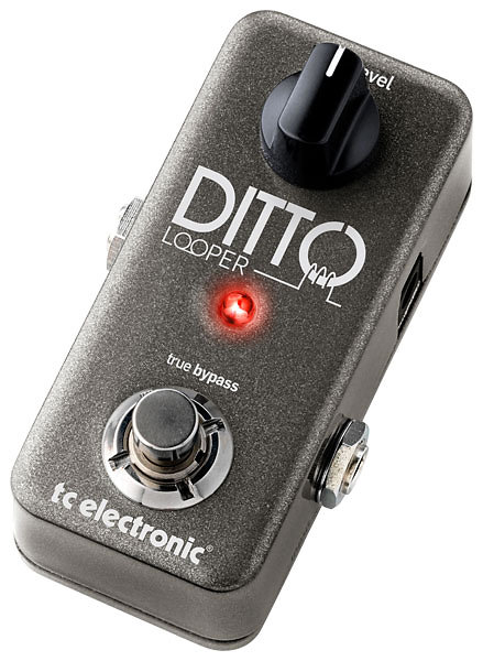 DITTO LOOPER BUNDLE TC Electronic