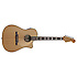 Kingman SCE Fender