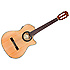 CN-240 SCE Thinline Fender