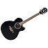 AEL10E-BK Ibanez