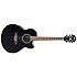 AEL10E-BK Ibanez