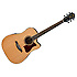 V74ECE-OPN Ibanez